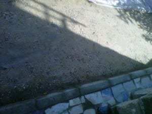 Entrada tratada de forma manual con copolimero 