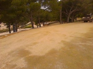 Terreno anterior a la rehabilitación con los productos de Humicorp