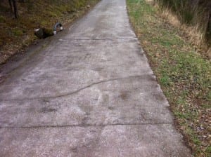Caminos de hormigón fuera de lugar. Humicorp crea caminos ecologicos y duraderos
