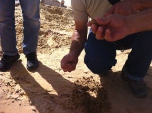 ¿ La arena del desierto se puede estabilizar..? si siguiendo nuestros protocolos de actuación.