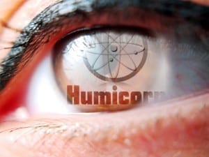 Visión de futuro de Humicorp. Estabilizaciones sin aportes trabajar el suelo que hay. Dar vida!!