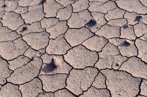 Solución a la desertificación